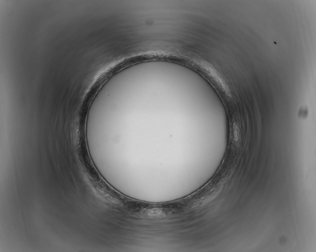 X0000097460588200802220808