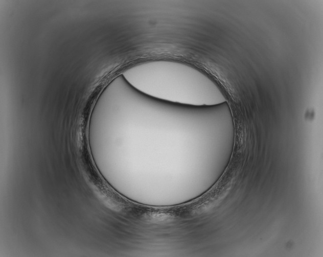 X0000097460590200802220808