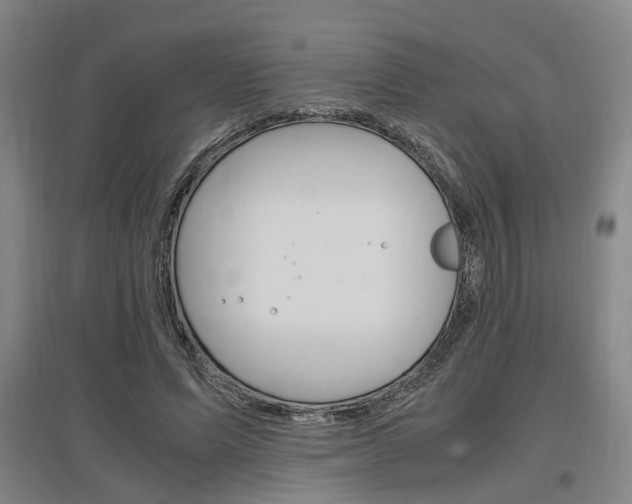 X0000097460591200802220808