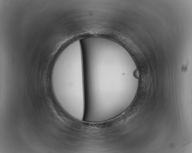 X0000097460592200802220808
