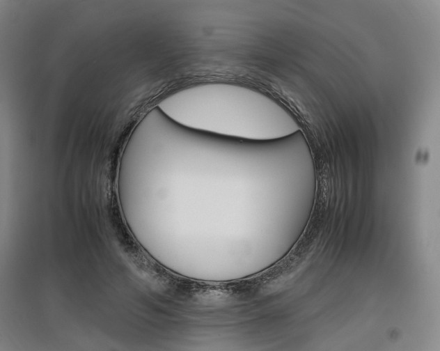 X0000097460594200802220808