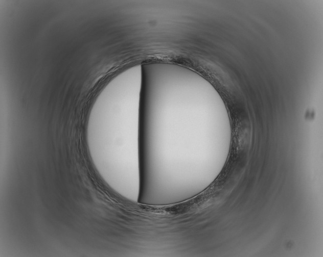 X0000097460595200802220808