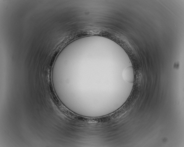 X0000097460598200802220808