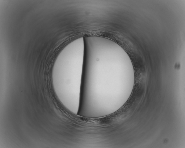 X0000097460599200802220808
