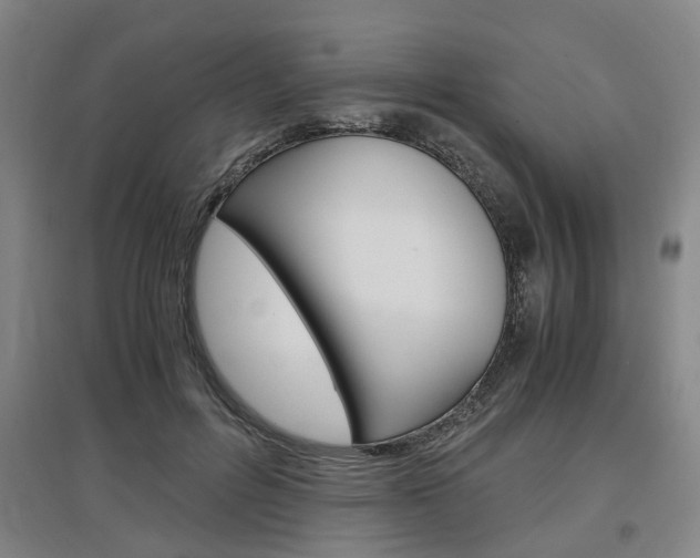 X0000097460600200802220808