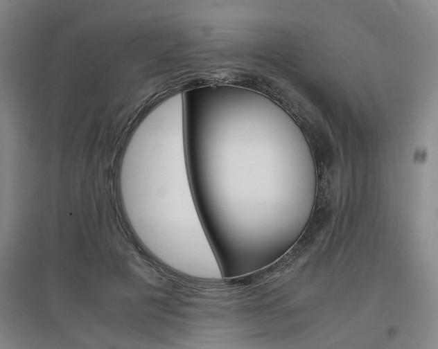 X0000097460601200802220808