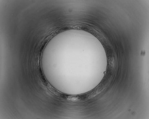 X0000097460602200802220808