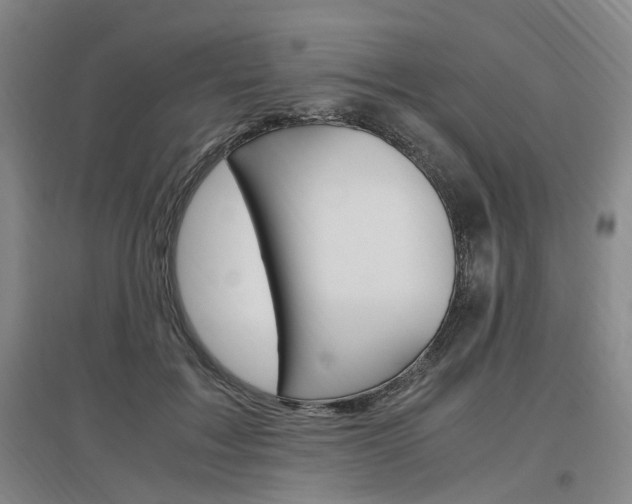 X0000097460603200802220808