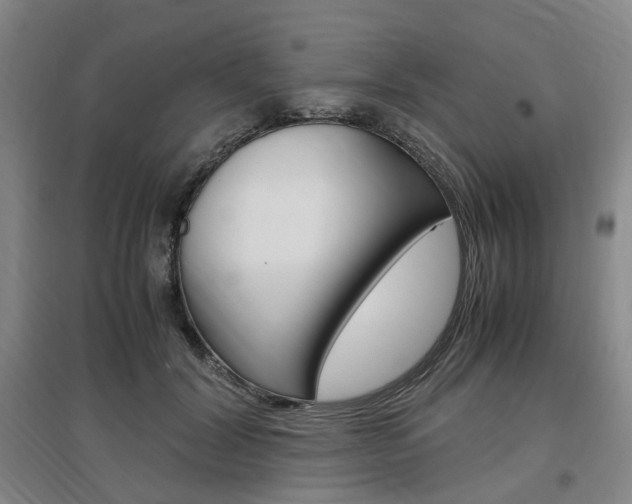 X0000097460604200802220808