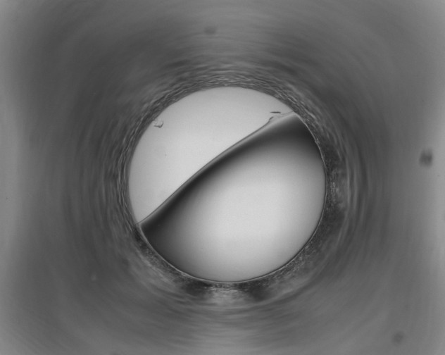 X0000097460605200802220808