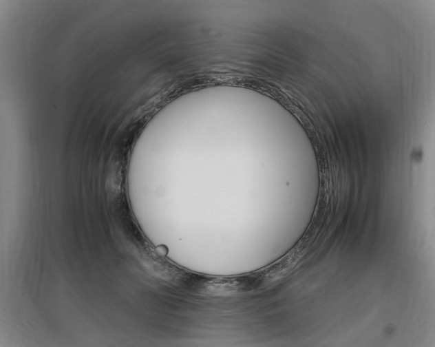 X0000097460606200802220808
