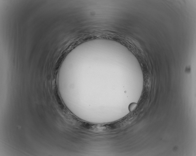 X0000097460607200802220808