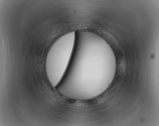 X0000097460608200802220808