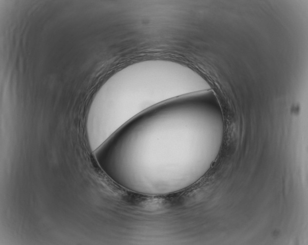 X0000097460609200802220808