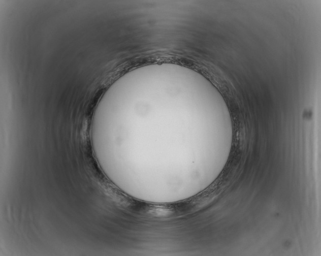 X0000097460610200802220808