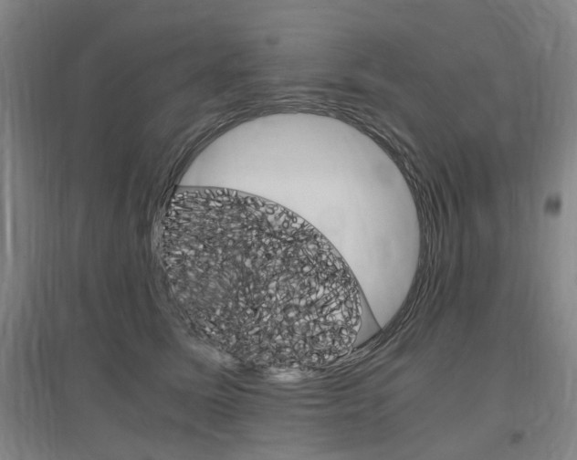 X0000097460611200802220808