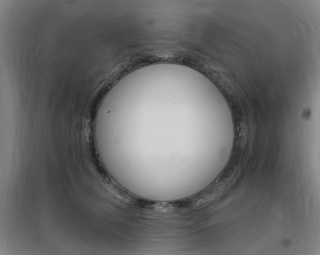 X0000097460612200802220808