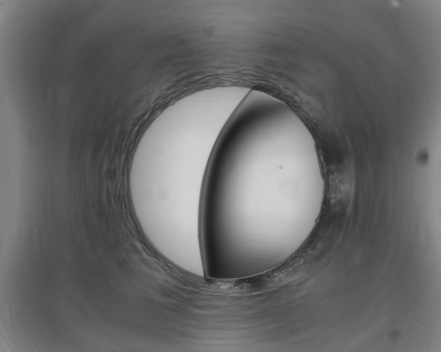 X0000097460613200802220808