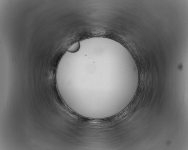X0000097460614200802220808
