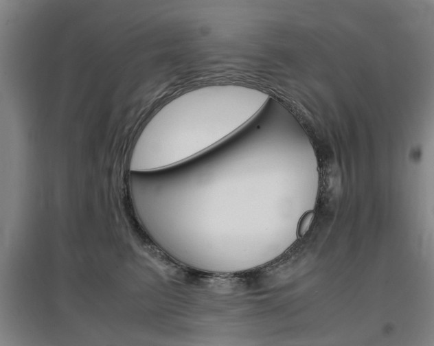 X0000097460615200802220808