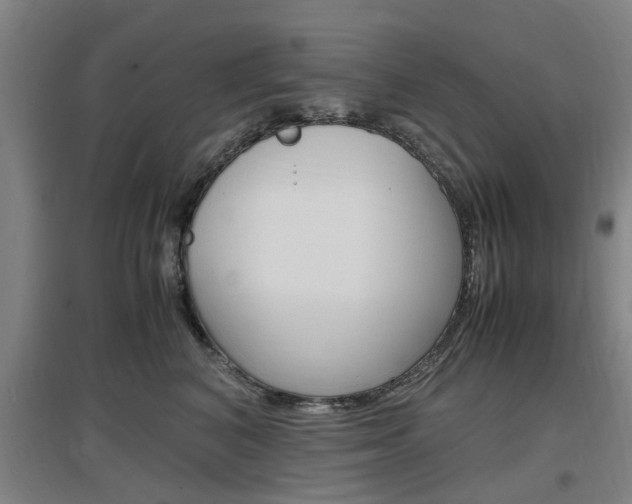 X0000097460616200802220808
