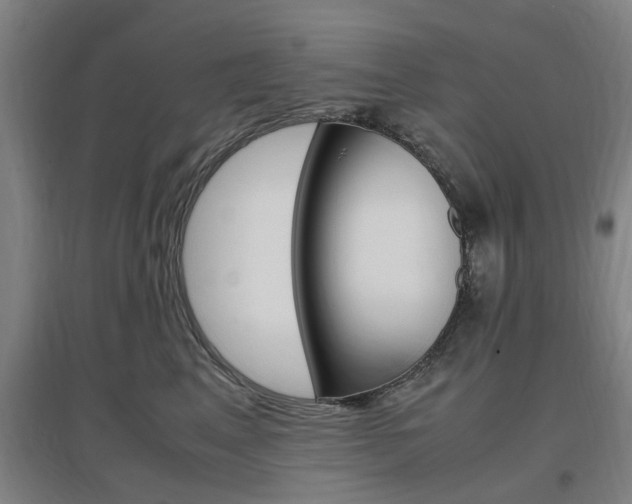 X0000097460617200802220808