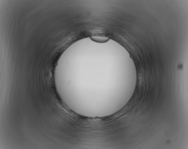 X0000097460618200802220808