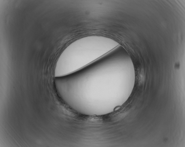 X0000097460619200802220808