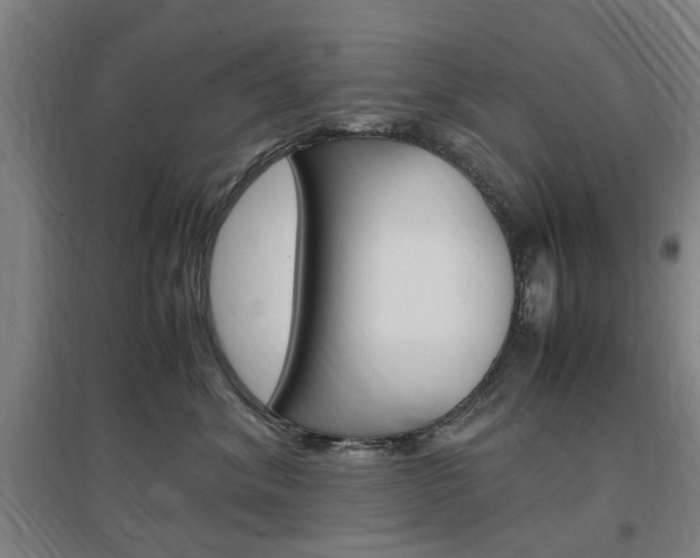 X0000097460620200802220808