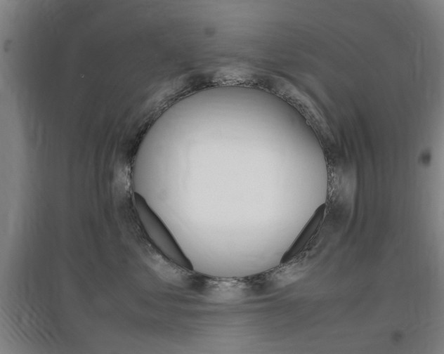 X0000097460621200802220808