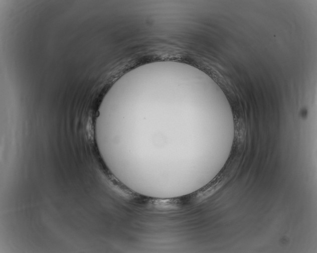 X0000097460622200802220808