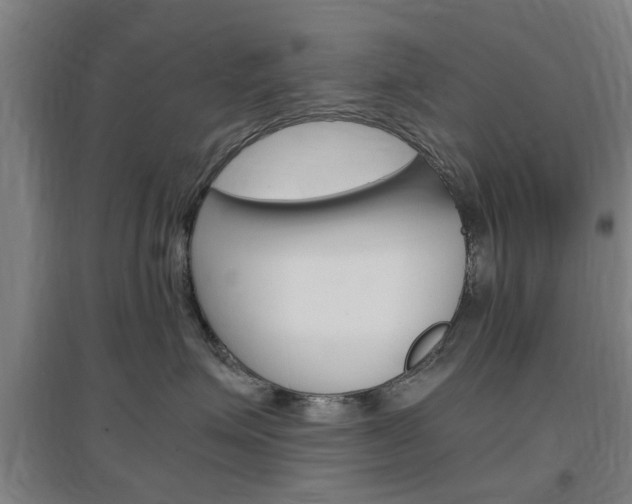 X0000097460623200802220808