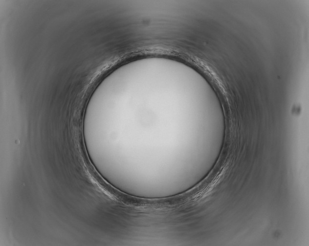 X0000097460625200802220807