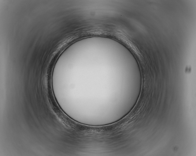 X0000097460626200802220807