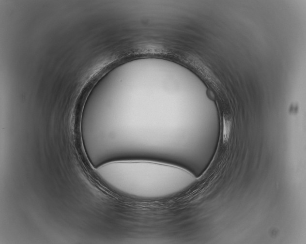 X0000097460627200802220807