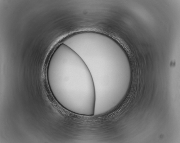 X0000097460628200802220807