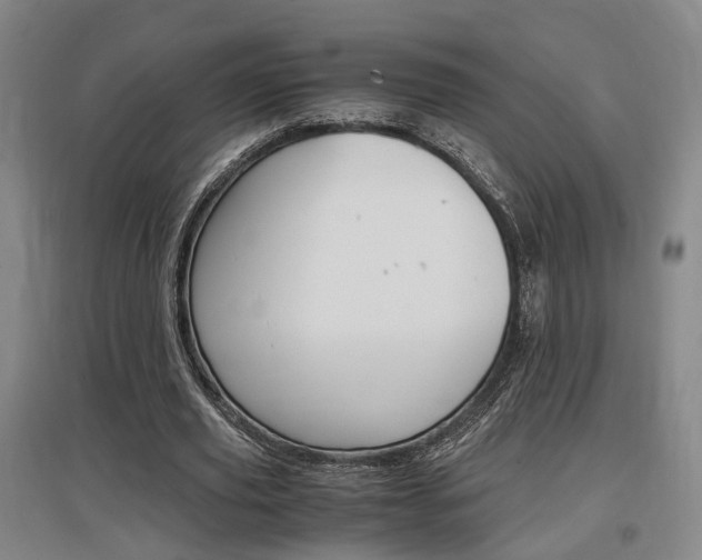 X0000097460629200802220807