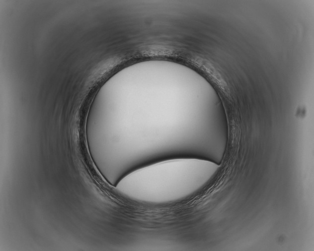 X0000097460631200802220807