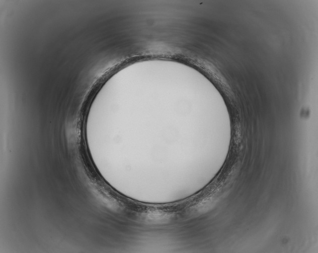 X0000097460632200802220807