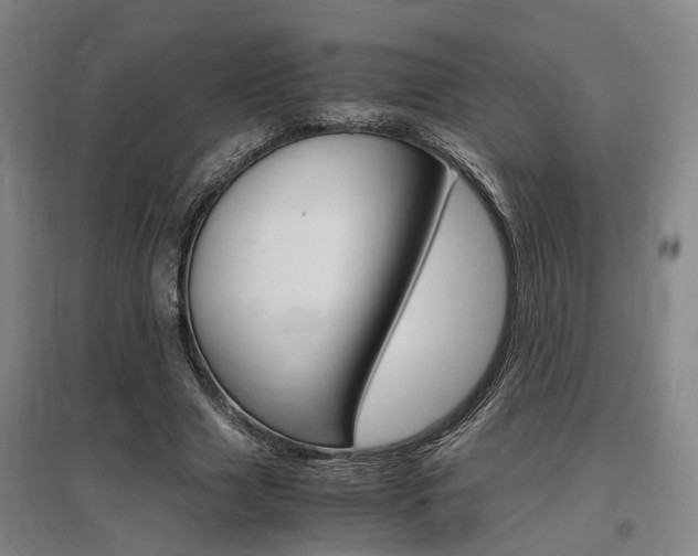 X0000097460633200802220807