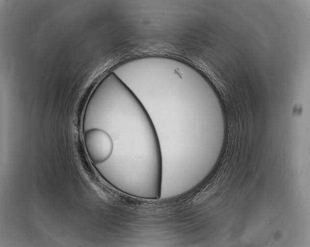 X0000097460634200802220807