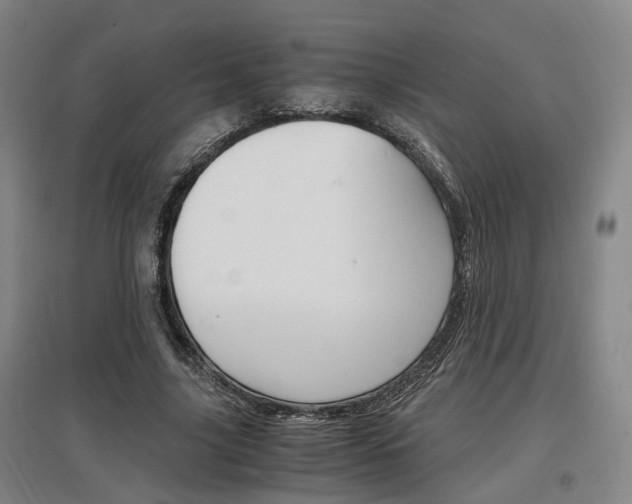 X0000097460635200802220807