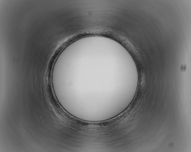X0000097460636200802220807