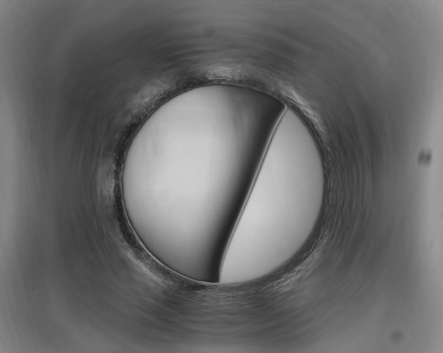 X0000097460637200802220807