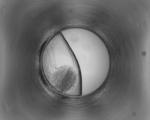 X0000097460638200802220807
