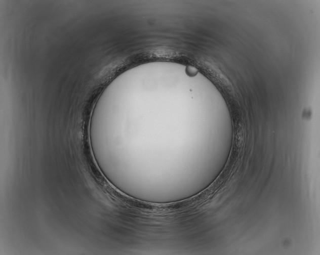 X0000097460639200802220807