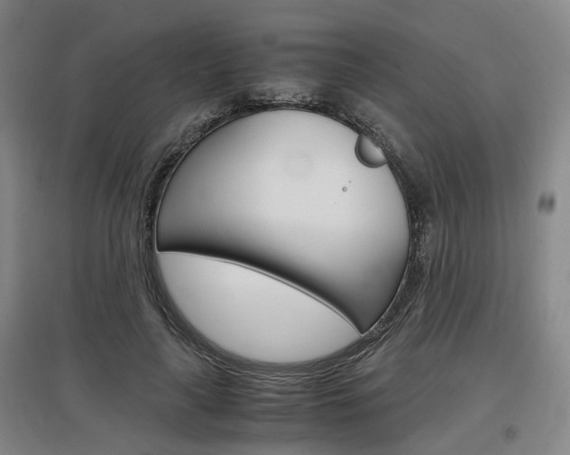 X0000097460643200802220807