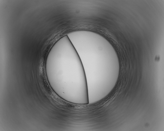 X0000097460644200802220807