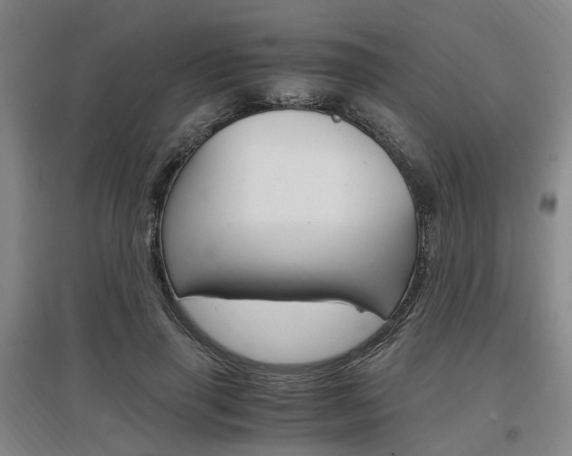 X0000097460645200802220807