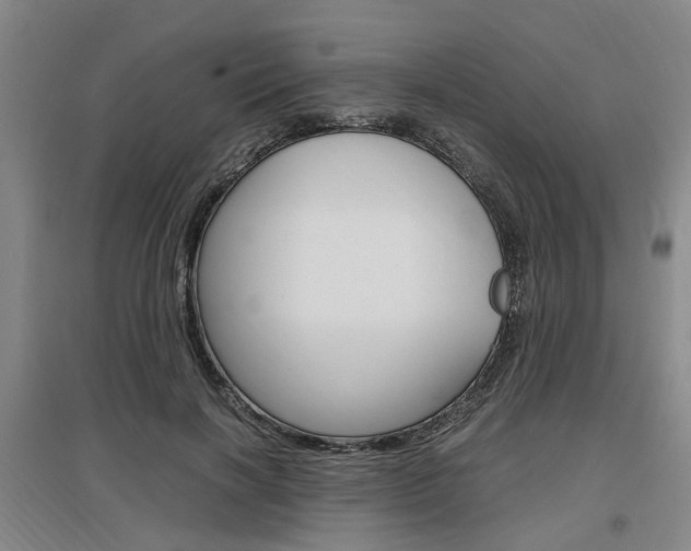 X0000097460646200802220807